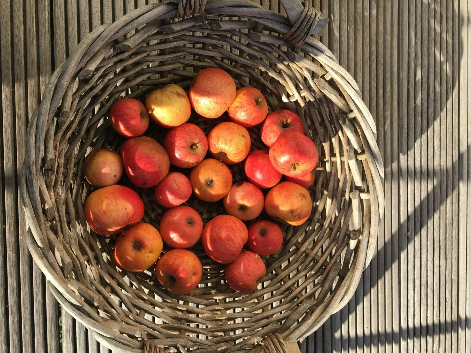 Äpfel aus eigenem Garten